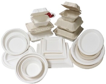 ΒΙΟΔΙΑΣΠΩΜΕΝΑ ΣΚΕΥΗ ΑΠΟ ΖΑΧΑΡΟΚΑΛΑΜΟ